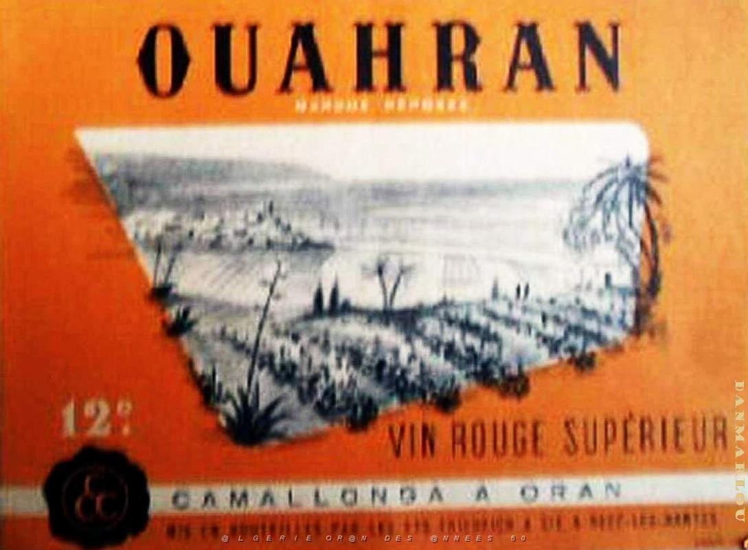 Oran Pub vins 012.jpg
